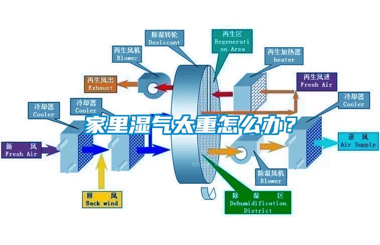 家里湿气太重怎么办？