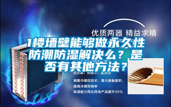 1楼墙壁能够做永久性防潮防湿解决么？是否有其他方法？