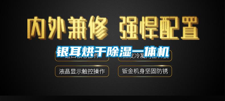 银耳烘干香蕉视频国产APP下载一体机