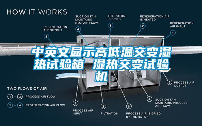 中英文显示高低温交变湿热试验箱 湿热交变试验机