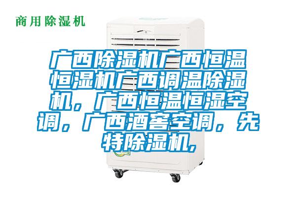 广西香蕉视频国产APP下载机广西恒温恒湿机广西调温香蕉视频国产APP下载机，广西恒温恒湿空调，广西酒窖空调，先特香蕉视频国产APP下载机,