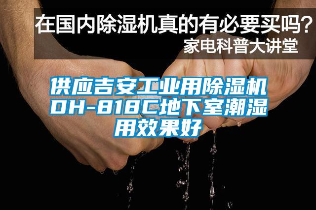 供应吉安工业用香蕉视频国产APP下载机DH-818C地下室潮湿用效果好