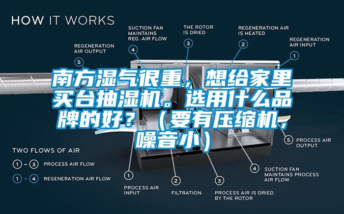 南方湿气很重，想给家里买台抽湿机。选用什么品牌的好？（要有压缩机，噪音小）