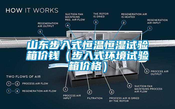 山东步入式恒温恒湿试验箱价钱（步入式环境试验箱价格）