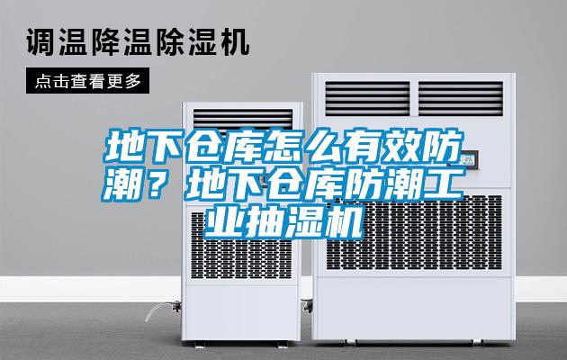 地下仓库怎么有效防潮？地下仓库防潮工业抽湿机