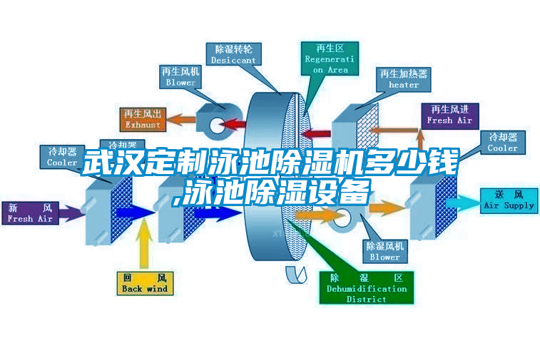 武汉定制泳池香蕉视频国产APP下载机多少钱,泳池香蕉视频国产APP下载设备