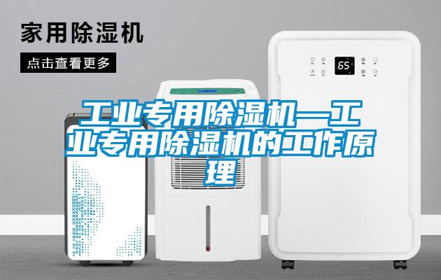 工业专用香蕉视频国产APP下载机—工业专用香蕉视频国产APP下载机的工作原理