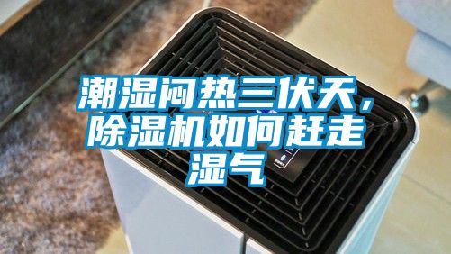 潮湿闷热三伏天，香蕉视频国产APP下载机如何赶走湿气