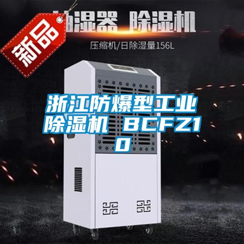 浙江防爆型工业香蕉视频国产APP下载机 BCFZ10