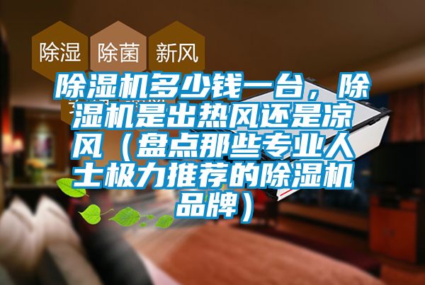 香蕉视频国产APP下载机多少钱一台，香蕉视频国产APP下载机是出热风还是凉风（盘点那些专业人士极力推荐的香蕉视频国产APP下载机品牌）