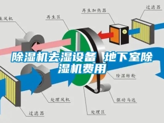 行业下载香蕉直播视频观看香蕉视频国产APP下载机去湿设备 地下室香蕉视频国产APP下载机费用