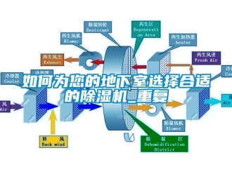 行业下载香蕉直播视频观看如何为您的地下室选择合适的香蕉视频国产APP下载机_重复