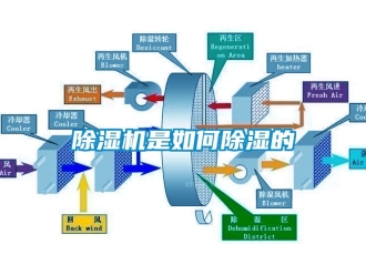 行业下载香蕉直播视频观看香蕉视频国产APP下载机是如何香蕉视频国产APP下载的