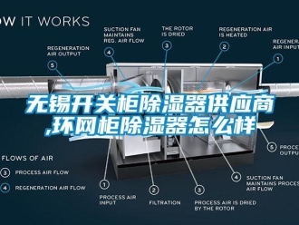 行业下载香蕉直播视频观看无锡开关柜香蕉视频国产APP下载器供应商,环网柜香蕉视频国产APP下载器怎么样