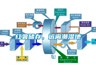 行业下载香蕉直播视频观看红薯储存，远离潮湿地