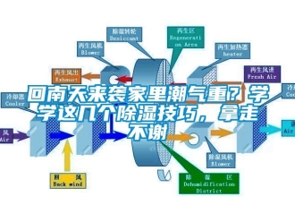 行业下载香蕉直播视频观看回南天来袭家里潮气重？学学这几个香蕉视频国产APP下载技巧，拿走不谢