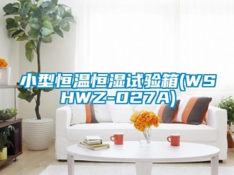 知识百科小型恒温恒湿试验箱(WSHWZ-027A)