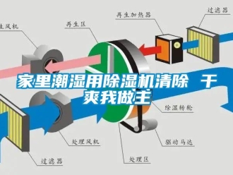 行业下载香蕉直播视频观看家里潮湿用香蕉视频国产APP下载机清除 干爽我做主