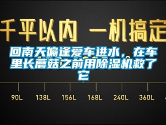 行业下载香蕉直播视频观看回南天偏逢爱车进水，在车里长蘑菇之前用香蕉视频国产APP下载机救了它