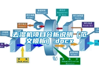 行业下载香蕉直播视频观看去湿机项目分析说明（范文模板）.docx