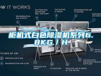 行业下载香蕉直播视频观看柜机式白色香蕉视频国产APP下载机系列6.8KG／H