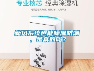 行业下载香蕉直播视频观看新风系统也能香蕉视频国产APP下载防潮，是真的吗？