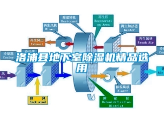 行业下载香蕉直播视频观看洛浦县地下室香蕉视频国产APP下载机精品选用