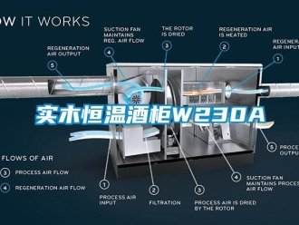 知识百科实木恒温酒柜W230A