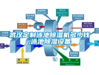 行业下载香蕉直播视频观看武汉定制泳池香蕉视频国产APP下载机多少钱,泳池香蕉视频国产APP下载设备