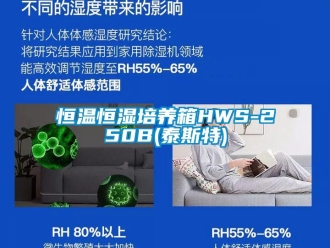 知识百科恒温恒湿培养箱HWS-250B(泰斯特)