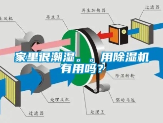 行业下载香蕉直播视频观看家里很潮湿。。用香蕉视频国产APP下载机有用吗？